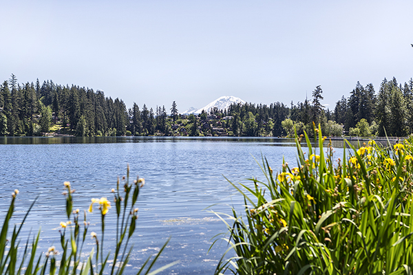 Moving to Maple Valley, Washington