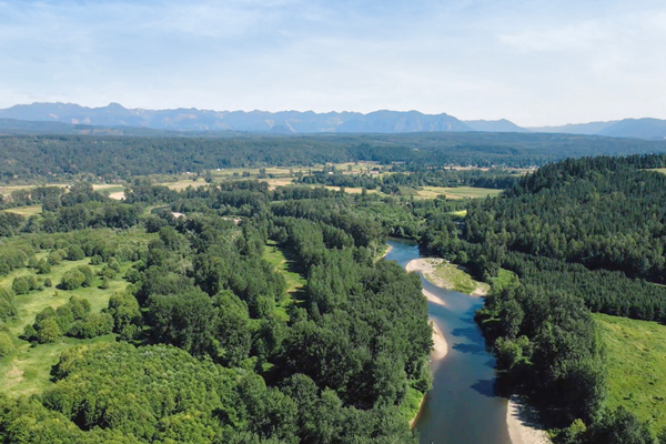 Welcome to Carnation: Your New Home Awaits