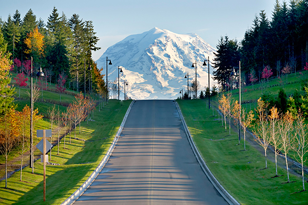 The Stars Align: Living in Bonney Lake