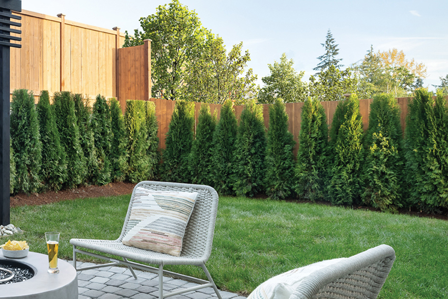 Stained Cedar Fencing