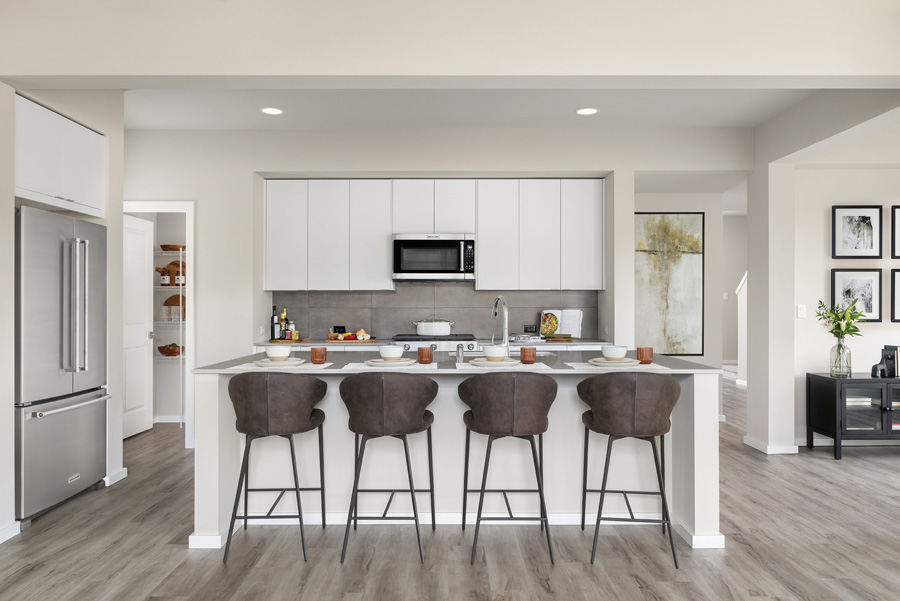 Meridian Home Design | Sky Interior Color Scheme