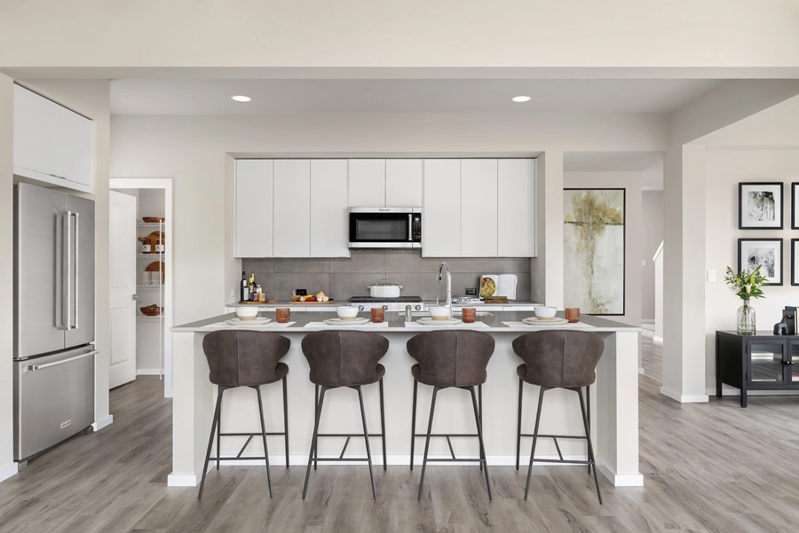 Meridian Home Design | Sky Interior Color Scheme