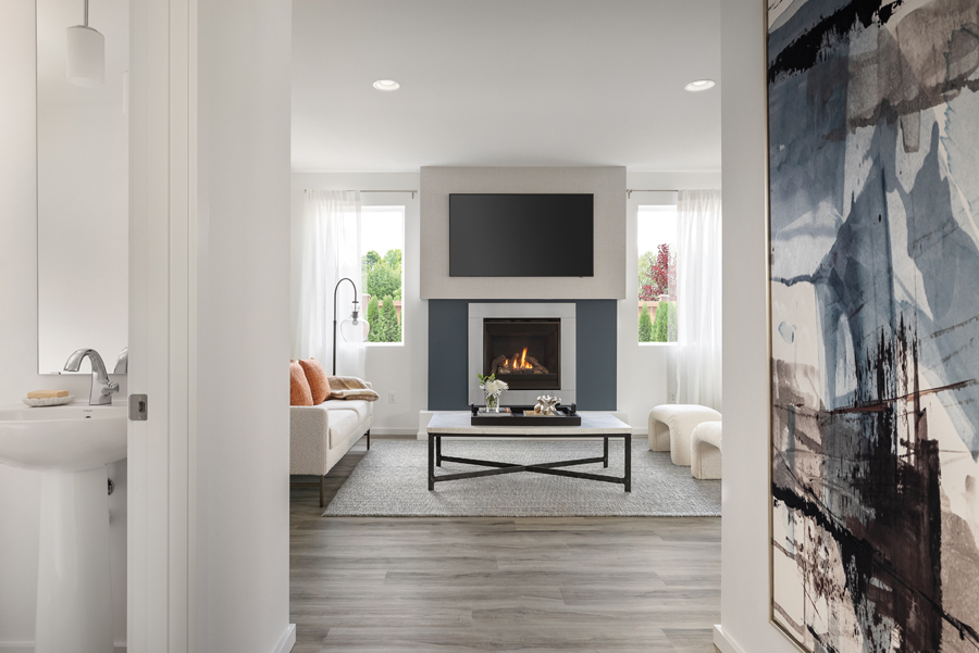 Skagit Home Design | Stormwake Interior Color Scheme